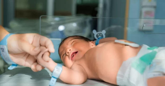 Entenda por que não se deve beijar um bebê recém-nascido