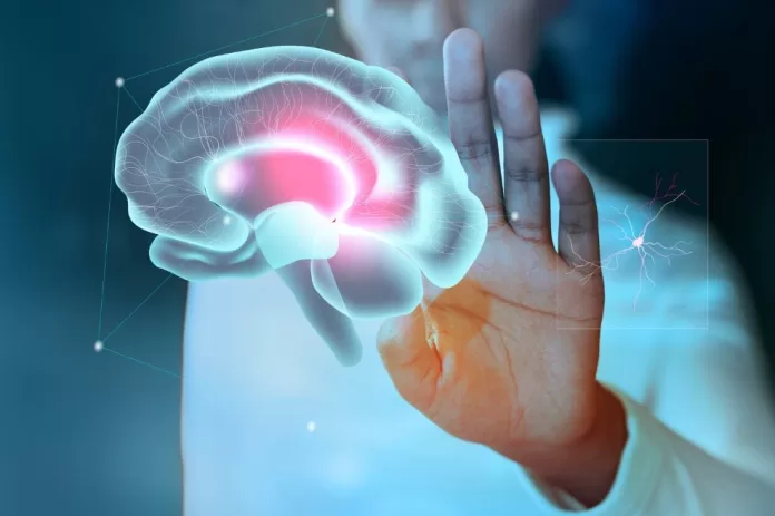 Novo implante cerebral permite transformar pensamentos em palavras em tempo real