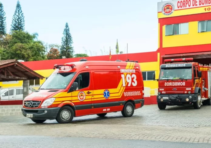 cães American Bully escapam Chapecó