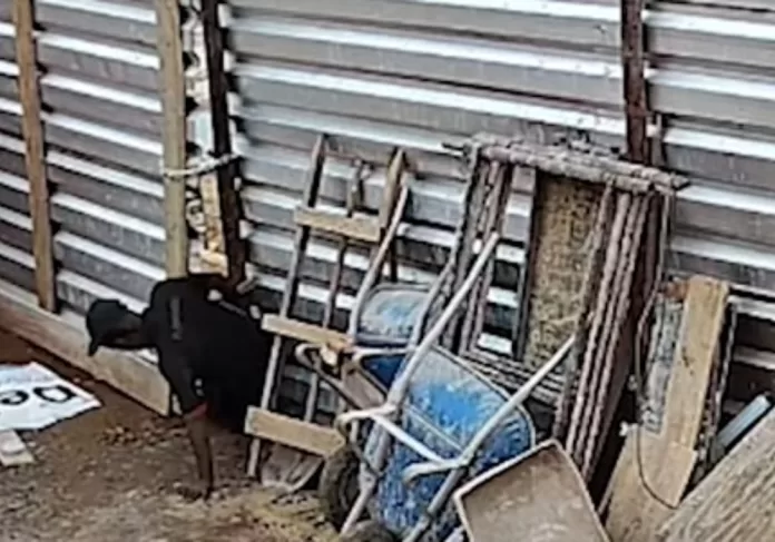 furto em obra em Uberlândia