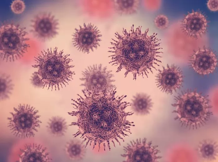 Nova gripe K preocupa OMS e pode antecipar surtos em 2026