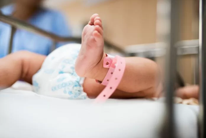 Nascimentos no Brasil caem 5,8% em 2024 e registram maior queda em 20 anos