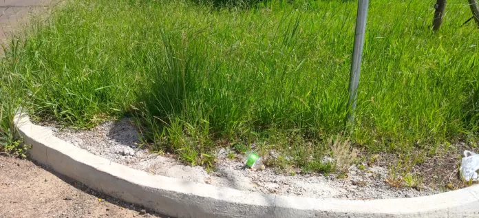 Prefeitura de Chapecó reforça alerta para limpeza de terrenos e manutenção de calçadas