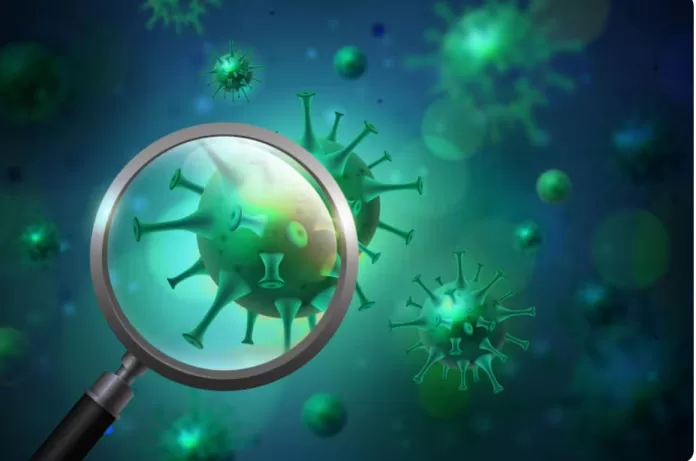 Novas ameaças virais preocupam especialistas e podem se espalhar pelo mundo em 2026