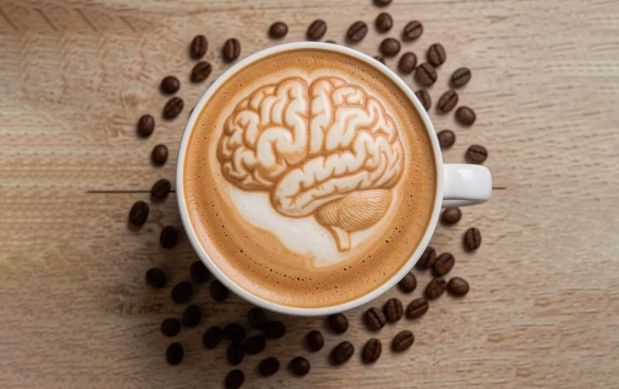 Saiba por que café pode afetar cérebro e intestino
