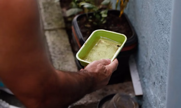 El Niño pode elevar dengue e chikungunya no Brasil