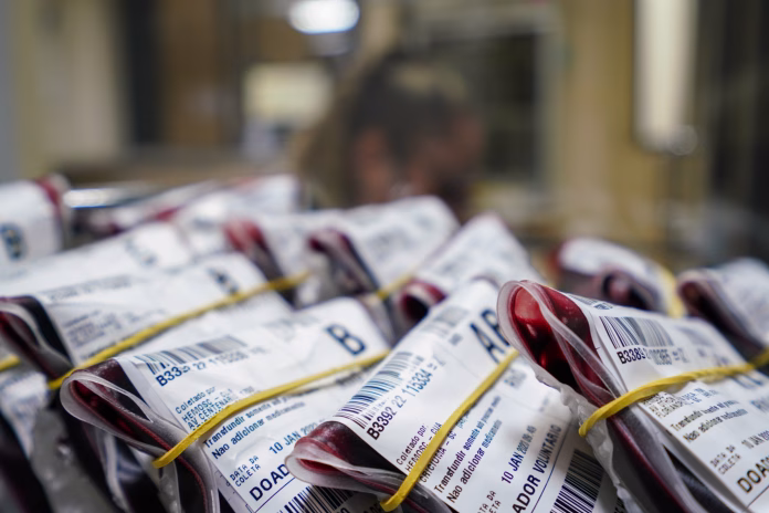 Hemosc anuncia novos critérios para doação de sangue em Santa Catarina