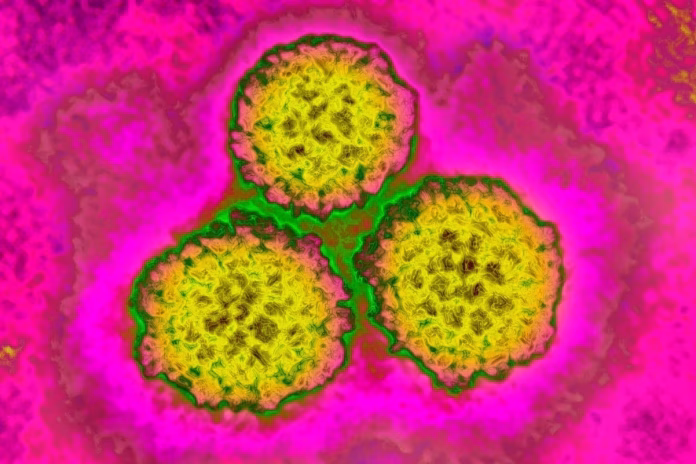 Gráfico sobre câncer ligado a infecções em estudo publicado na The Lancet Oncology